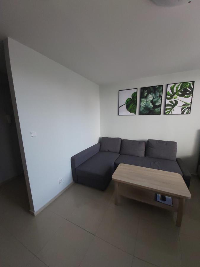 Apartament Z Ogrodem Tychy公寓 外观 照片