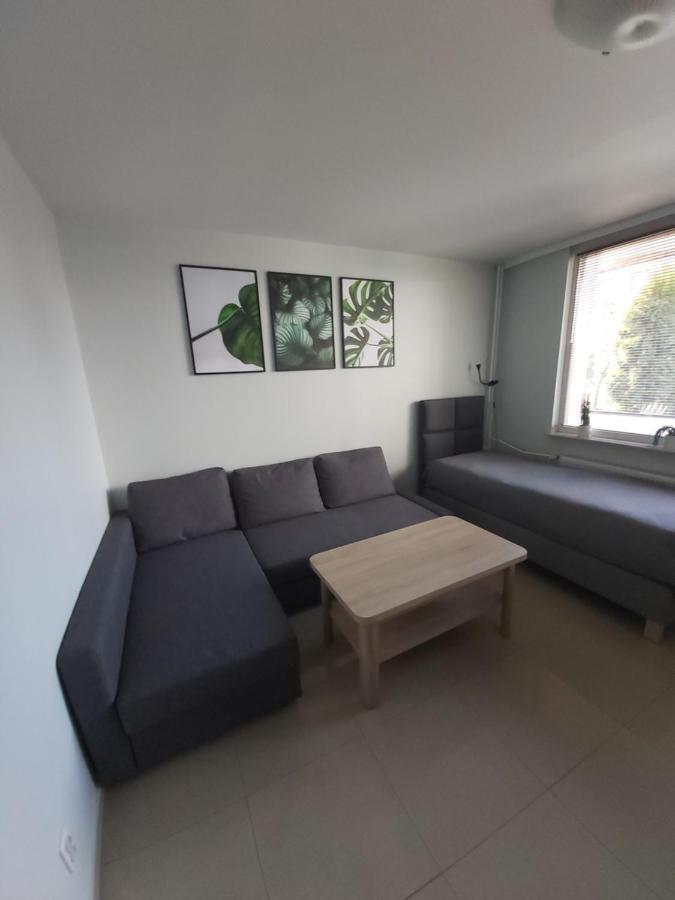 Apartament Z Ogrodem 蒂黑 外观 照片